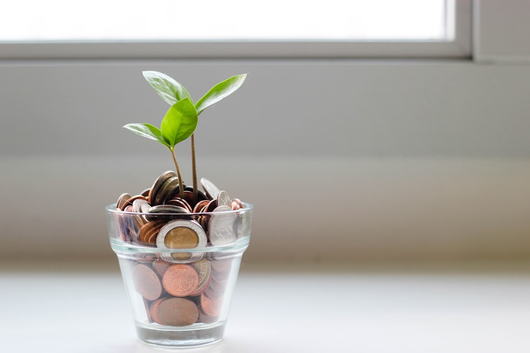 Financial planning strategies blog post